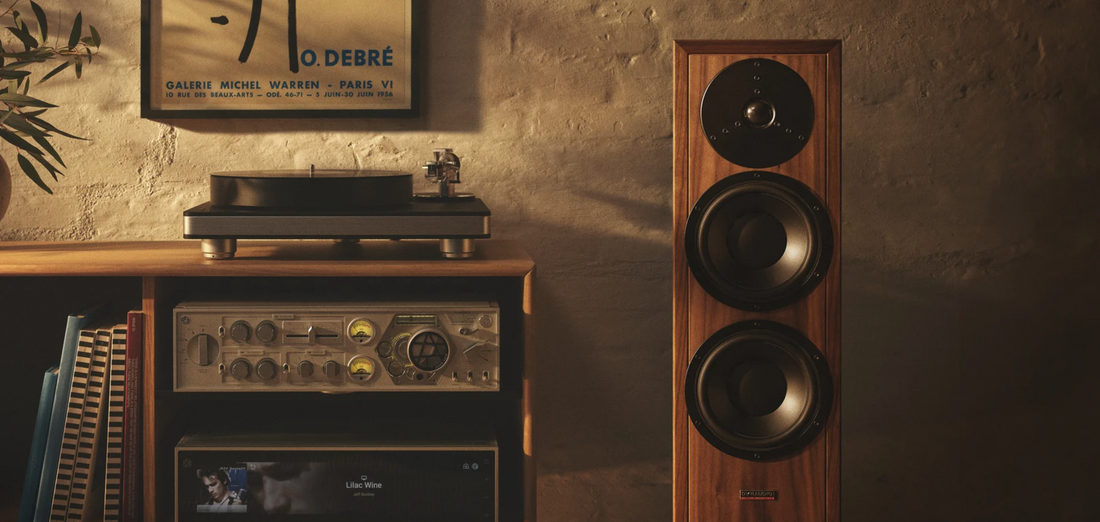 Pure Audio - Your Source for Premium Audio Systems in Sri Lanka – Pure ...